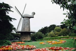 San Fancisco: Wynajem Golden Gate Park Surrey