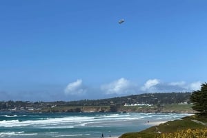 From San Francisco: Carmel, Monterey & Big Sur Private Tour