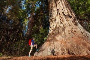 Vanuit San Francisco: 2-daagse Yosemite rondleiding met pick-up