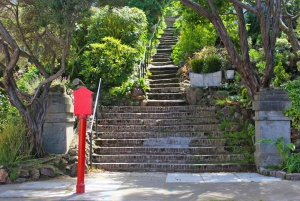 Tour di San Francisco di 3 ore a piedi di Castro e Twin Peaks