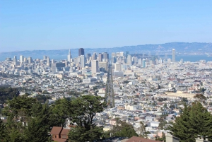 Tour di San Francisco di 3 ore a piedi di Castro e Twin Peaks