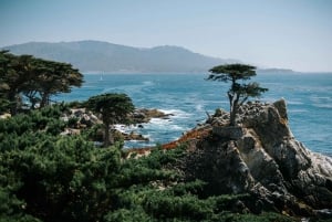 San Francisco: 4-dagars VIP-tur med Coast Starlight-tåg