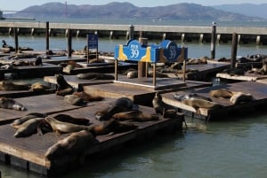 San Francisco: Belangrijke bezienswaardigheden privé sightseeingtour