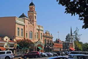 San Francisco: 5 päivän Kalifornian rannikko, viinitarhat ja viinikierros