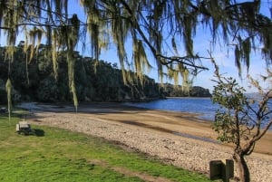 San Francisco: 5 päivän Kalifornian rannikko, viinitarhat ja viinikierros