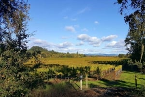 San Francisco: 5 päivän Kalifornian rannikko, viinitarhat ja viinikierros