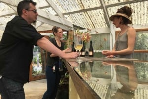 San Francisco: 5 päivän Kalifornian rannikko, viinitarhat ja viinikierros