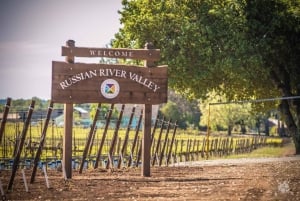 San Francisco: 5 päivän Kalifornian rannikko, viinitarhat ja viinikierros