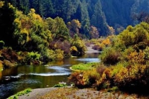 San Francisco: 5 päivän Kalifornian rannikko, viinitarhat ja viinikierros