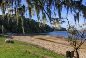 San Francisco: 5 päivän Kalifornian rannikko, viinitarhat ja viinikierros