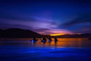 San Francisco: 5 päivän Kalifornian rannikko, viinitarhat ja viinikierros