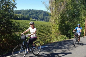 Сан-Франциско: 5-дневный тур по побережью Калифорнии, виноградникам и винодельням