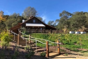 Сан-Франциско: 5-дневный тур по побережью Калифорнии, виноградникам и винодельням