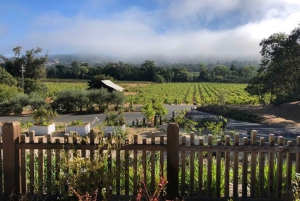 Сан-Франциско: 5-дневный тур по побережью Калифорнии, виноградникам и винодельням