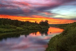 Сан-Франциско: 5-дневный тур по побережью Калифорнии, виноградникам и винодельням