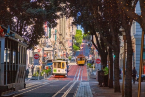 San Francisco : Circuit de 5 jours dans les parcs californiens à Los Angeles