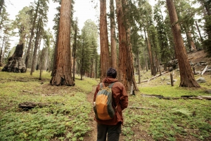 San Francisco : Circuit de 5 jours dans les parcs californiens à Los Angeles