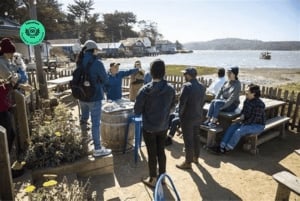 San Francisco: 5-Day Women-Only Wine Country & Coastal Tour