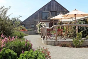 San Francisco: 5-Day Women-Only Wine Country & Coastal Tour