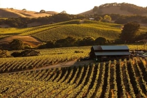 San Francisco: 5-Day Women-Only Wine Country & Coastal Tour