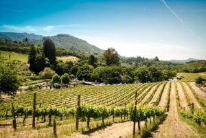 San Francisco: 5-Day Women-Only Wine Country & Coastal Tour