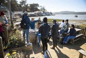 San Francisco: 5-Day Women-Only Wine Country & Coastal Tour