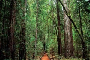San Francisco: 5-Day Women-Only Wine Country & Coastal Tour