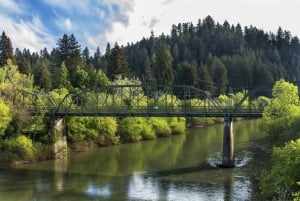 San Francisco: 5-Day Women-Only Wine Country & Coastal Tour