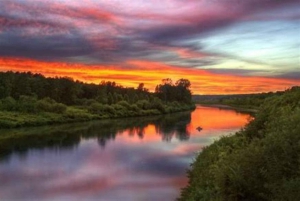 San Francisco: 5-dages tur til vinlandet og kysten kun for kvinder