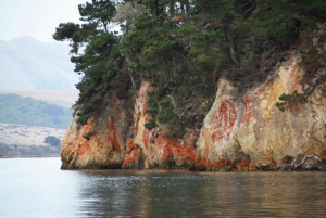 San Francisco: 5-dages tur til vinlandet og kysten kun for kvinder