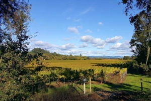 San Francisco: 5-dages tur til vinlandet og kysten kun for kvinder