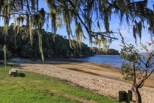 San Francisco: 5-dages tur til vinlandet og kysten kun for kvinder