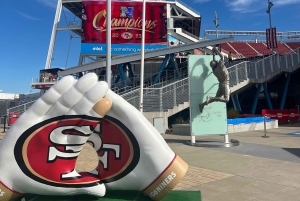 Traslado de ida al aeropuerto de San Francisco desde/hacia la ciudad