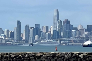 Traslado de ida al aeropuerto de San Francisco desde/hacia la ciudad