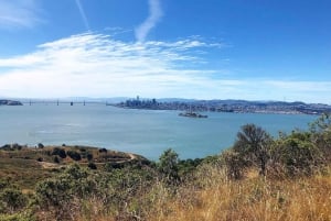 San Francisco: biglietto per Alcatraz e Angel Island, traghetto e tour