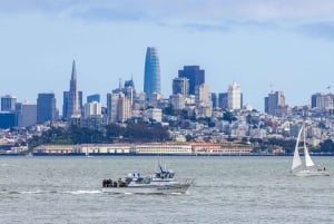 San Francisco: Alcatraz, lautta ja 2 päivän Hop-On Hop-Off -bussi