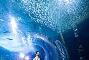 San Francisco: Alcatraz Island & 48-timers hop på-/hop af-tur