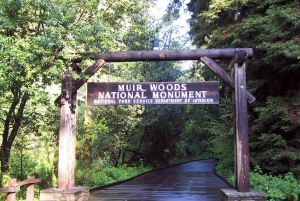 San Francisco : L'île d'Alcatraz et visite guidée de Muir Woods