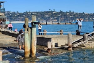 San Francisco: Jednodniowa wycieczka do Alcatraz, Muir Woods i Sausalito