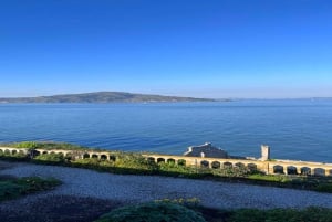 San Francisco: Tour di un giorno di Alcatraz, Muir Woods e Sausalito