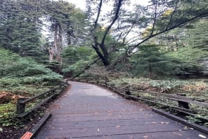 San Francisco: Tour di un giorno di Alcatraz, Muir Woods e Sausalito