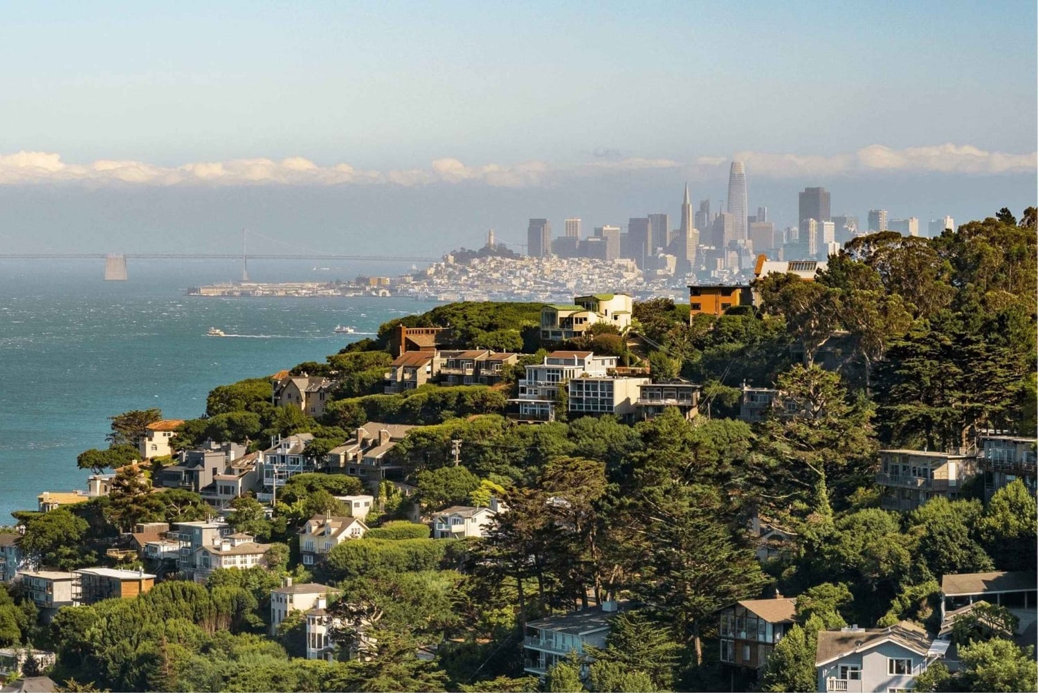 San Francisco: Woods & Sausalito 2-Day Tour: Alcatraz, Muir Woods & Sausalito 2-Day Tour