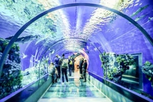 San Francisco: Woods & Sausalito 2-Day Tour: Alcatraz, Muir Woods & Sausalito 2-Day Tour