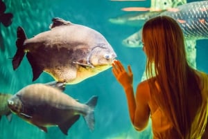 San Francisco: Woods & Sausalito 2-Day Tour: Alcatraz, Muir Woods & Sausalito 2-Day Tour