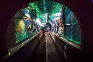 San Francisco: Aquarium of the Bay General Admission Ticket