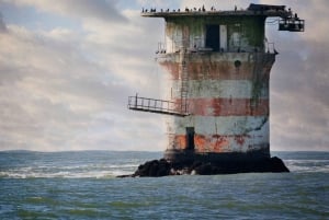 Baia di San Francisco: tour in barca avventura