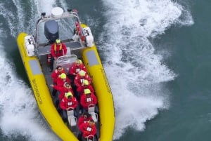 Bahía de San Francisco: Excursión de Aventura en Barco