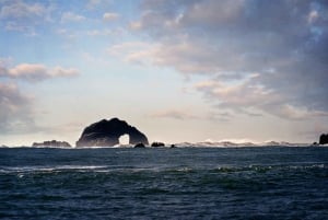 San Francisco-bugten: Adventure Boat Tour