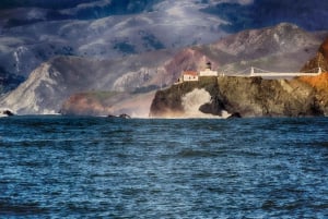 Baai van San Francisco: avontuurlijke boottocht