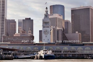 San Francisco-bugten: Adventure Boat Tour